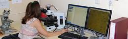 Institut za biološka istraživanja Siniša Stanković